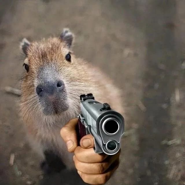 Capybara